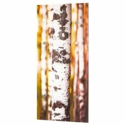 Remise 👏 Paris prix Patère Murale en Verre "Bouleau" 90cm Marron 🥰